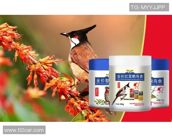 姚明鸟粮的独特配方与健康理念助力鸟类成长与繁荣